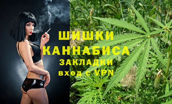 гидропоника Сатка