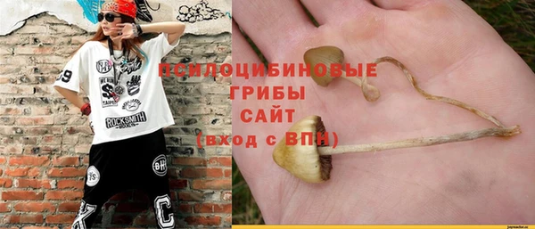 гидропоника Сатка