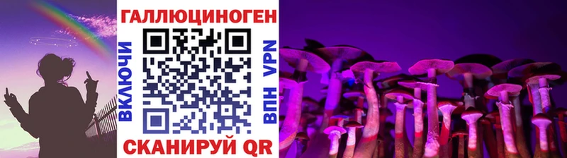 Псилоцибиновые грибы Cubensis  Сурск 